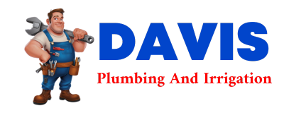 Trusted plumber in SINTON